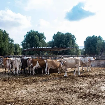 Masseria Lamapecora Faccia di Trippa di Monte